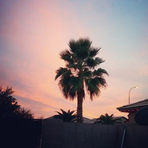 10502088_773508952703385_2282616036700222610_n