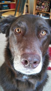 21825_426734770714140_1678541061_n