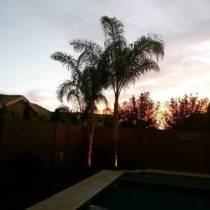 11028020_875922349128711_5764069199424904704_n