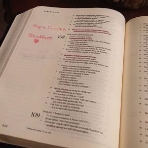 11373881_524767807670298_1395357124_n