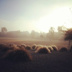 10926438_792177774169836_3879962373667175129_n