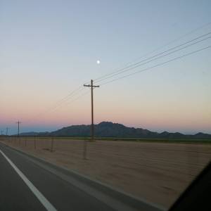 11917896_1469771716665817_248436171_n(1)