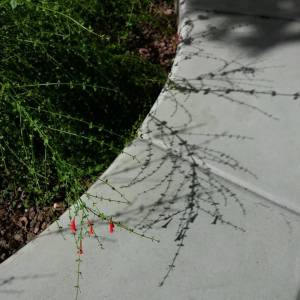 12071189_181194662216973_848061744_n(1)