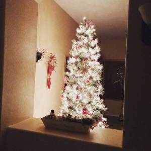 12353929_1667857403453712_1501146642_n