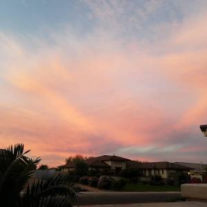 15034579_577262442398548_1364921837661716480_n1