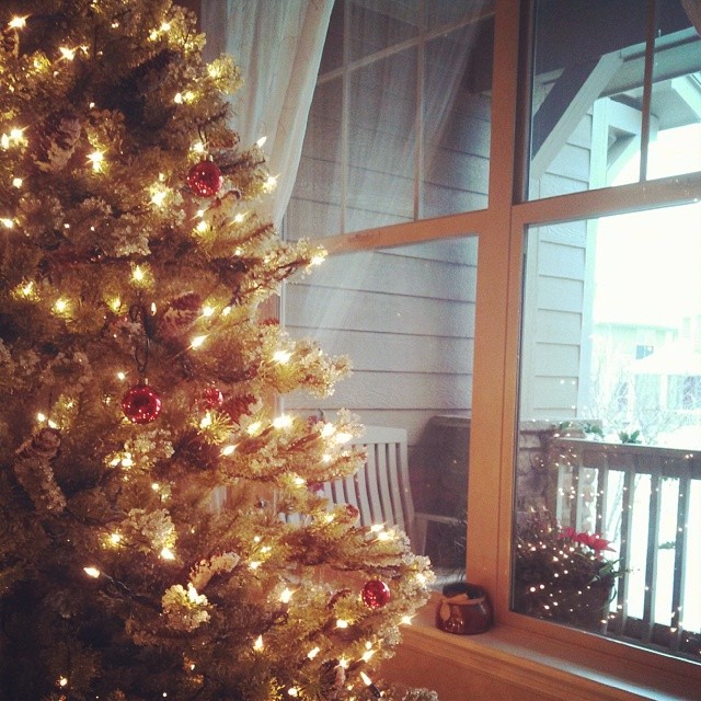 1389527_1438658129691532_2125611188_n