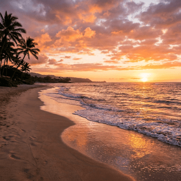 People walking along sandy tropical beach at sunset with palm trees and ocean waves